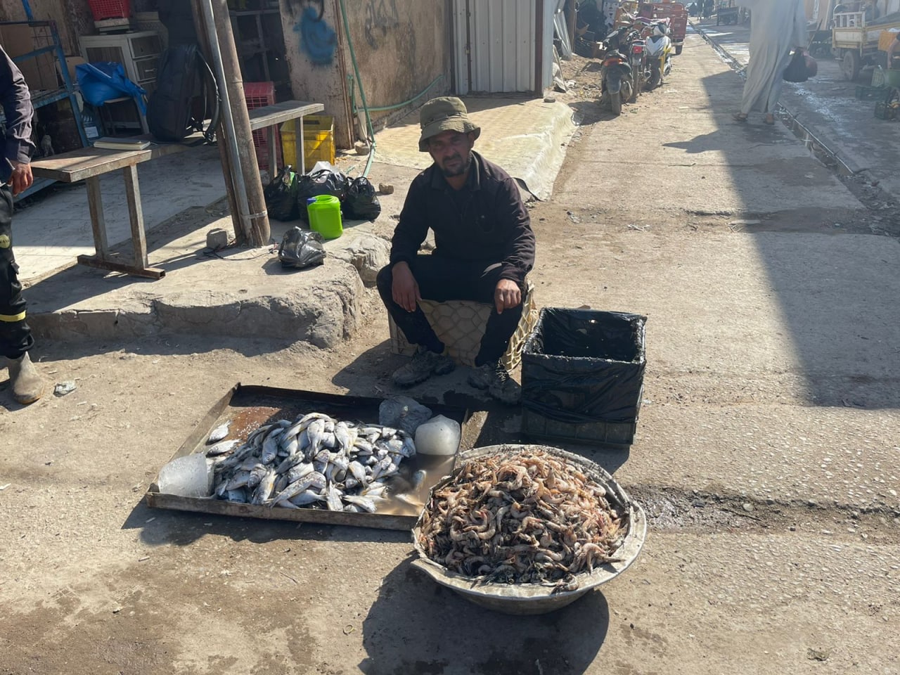 ملوحة شط العرب ترفع أسعار “الكارب والسمتي” وتدفعه للهجرة شمالا