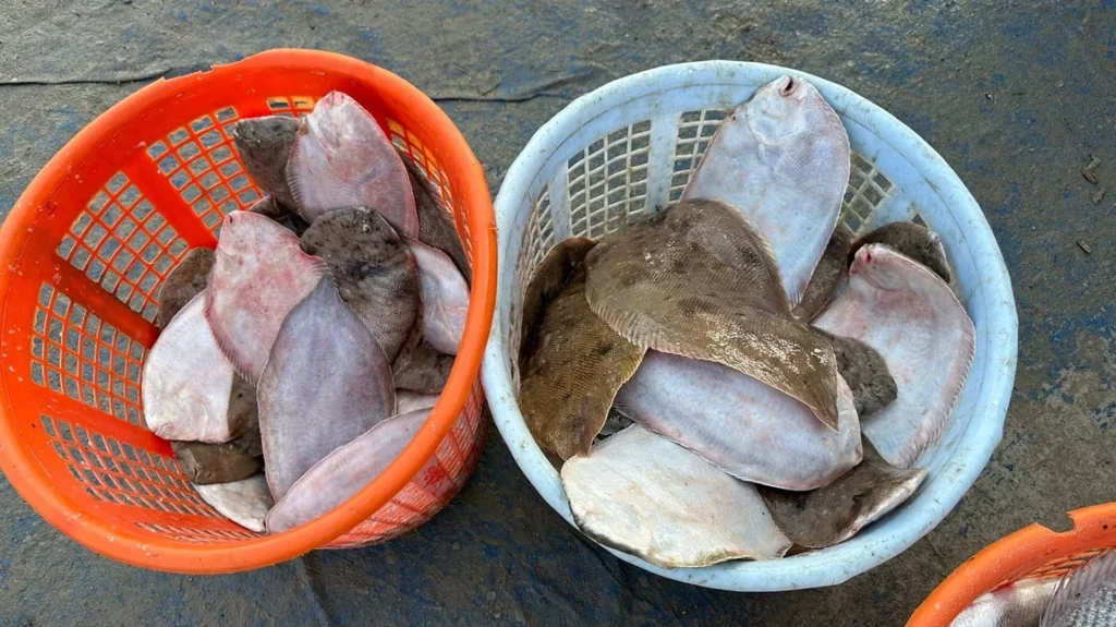 صيادو البصرة لـ964: هذا ما يجري خلال رحلاتنا في الخليج.. وسفننا تبحر حتى السعودية