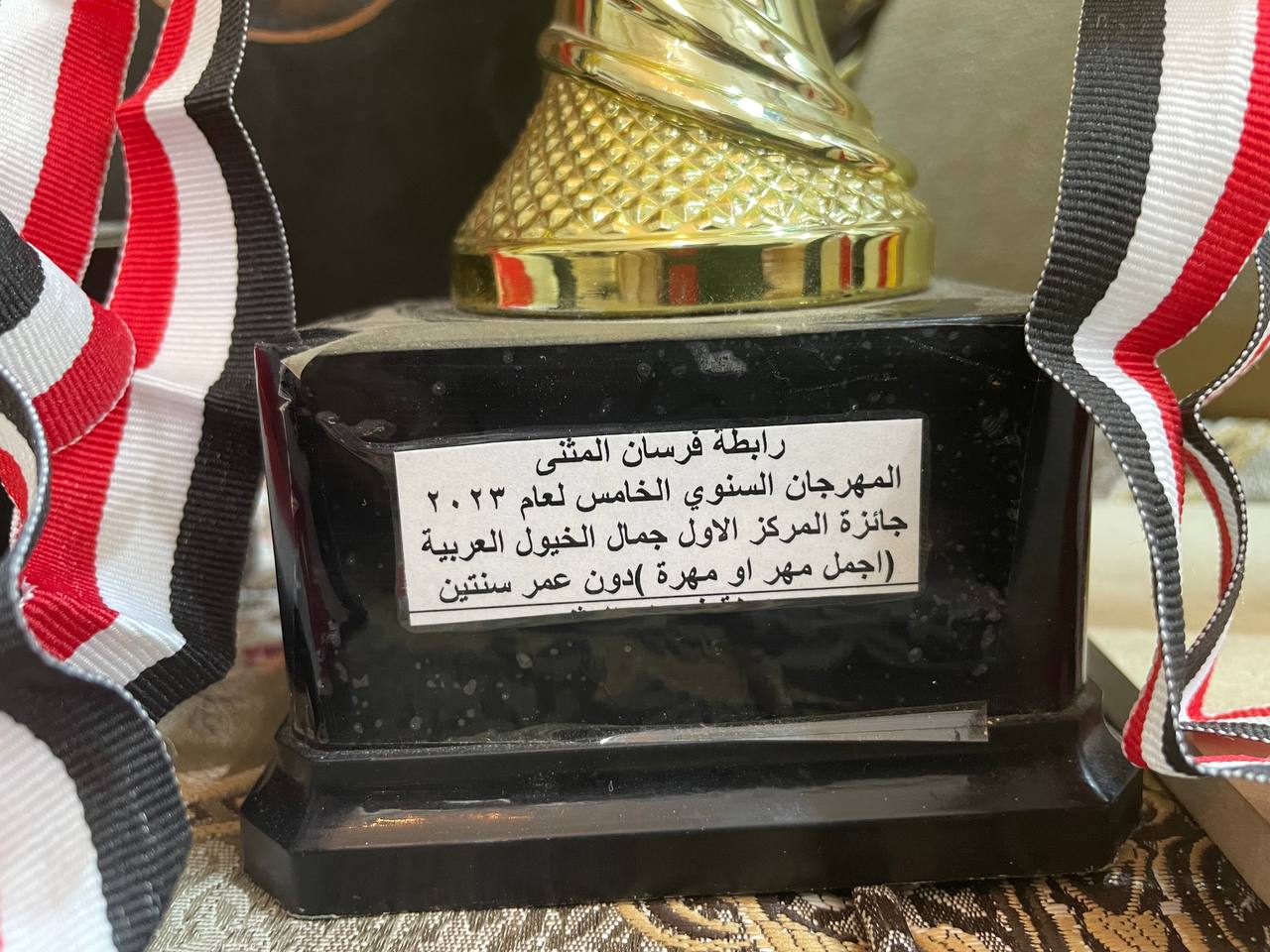 ضمن حملتها لرفع الحظر عن خيول العراق.. 964 في اسطبل “صدام” الأجمل في البلاد (فيديو)