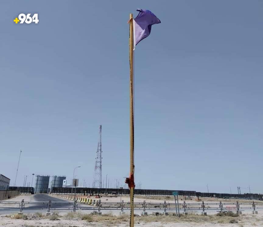 حقل الرميلة يستسلم للشمس ويرفع الراية البنفسجية.. إجازة طارئة للعمال (صورة)