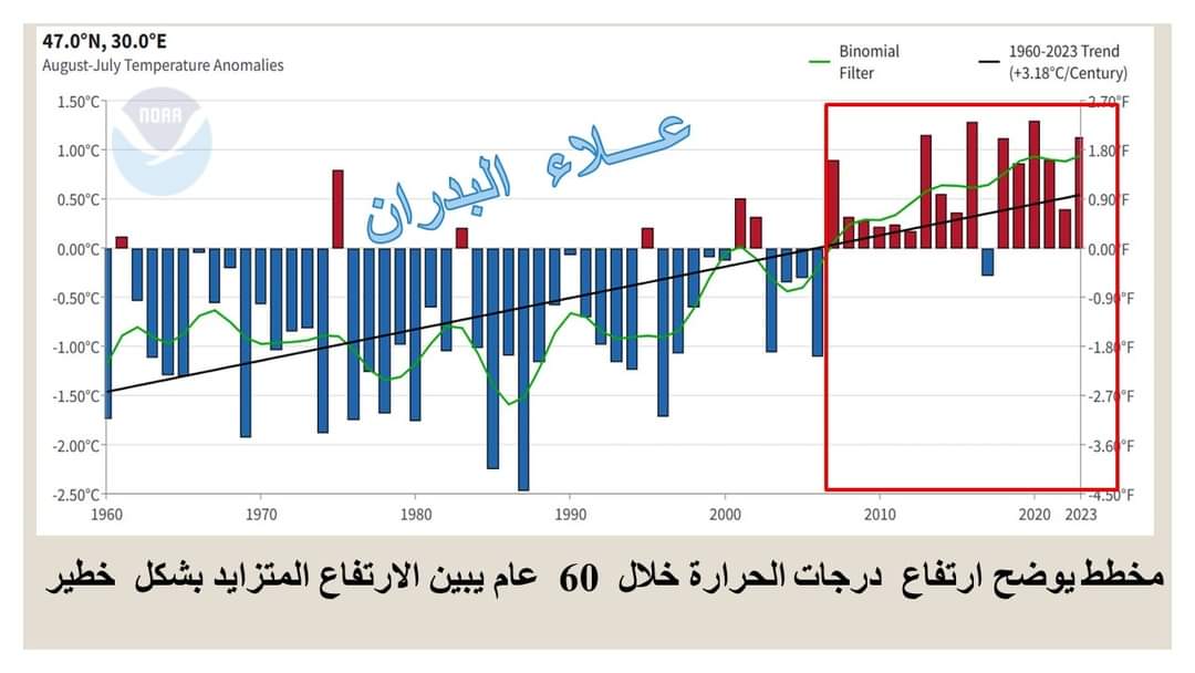 خطة لتطويق البصرة بأشجار المانكروف والسدر من الفاو إلى طريق الناصرية