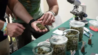 ضبط 110 كيلوغرامات من الحشيش بحوزة 22 راهباً بوذياً في سريلانكا