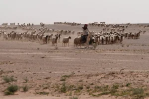 الكشف عن قاعدة إسرائيلية ثانية في العراق.. تقرير أميركي وتفاصيل صادمة من الصحراء