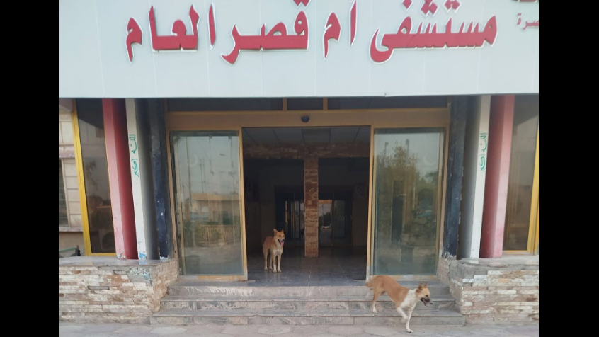 توضيح حول انتشار الكلاب السائبة في مستشفى أم قصر