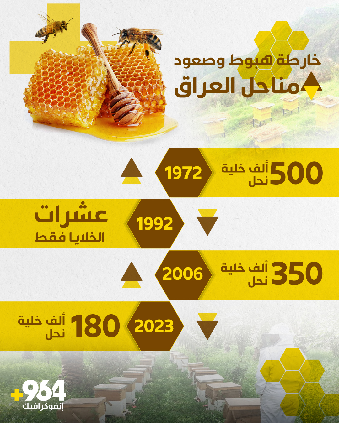 أسراب النحل تخسر أزهار الشمس وتضل طريقها بين الكالبتوس.. صورة أوضح عن عسل العراق