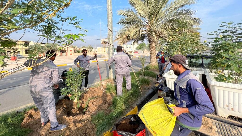 الزراعة النيابية تطالب بتشجير المحافظات وترقيم الأشجار لمواجهة التصحر