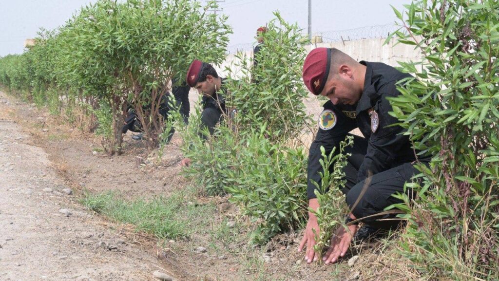 صور: جهاز مكافحة الإرهاب يشارك بحملة التشجير الكبرى في العراق