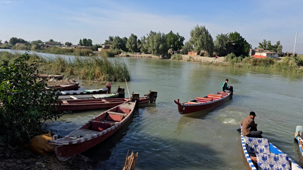 فيديو: أهل الموصل و10 أيام في الأهوار مع سواح قطر وإيطاليا.. الجو بديع