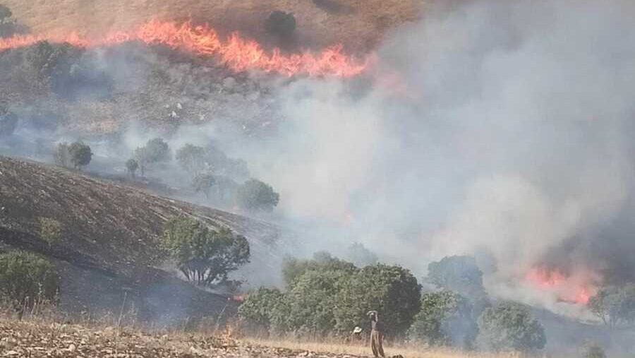 قتال الأتراك والـ"بككه" سبب لارتفاع الحرائق في كردستان.. منظمة هولندية تحذر