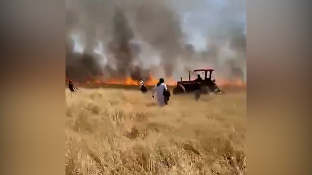 الدفاع المدني أخمد الجزء الأكبر من حريق الحنطة في البو عجيل شرق تكريت (فيديو)