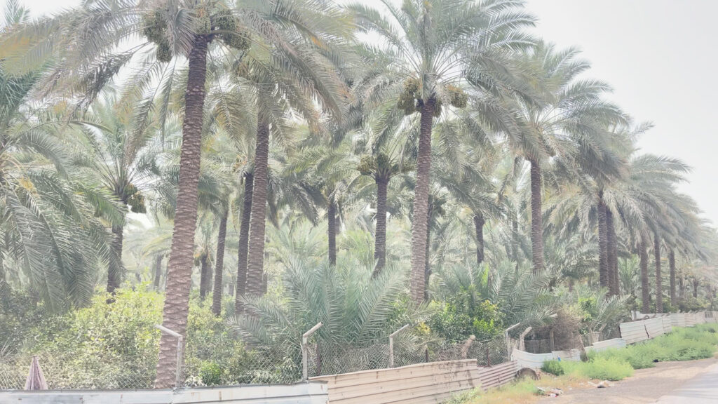 طقس العراق: أجواء شديدة الحرارة مع تصاعد للغبار والأتربة
