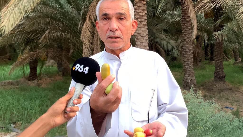 فيديو: خسائر الزهدي يعوضها "دولار المجهول".. نخيل كربلاء يربح نهاية الموسم