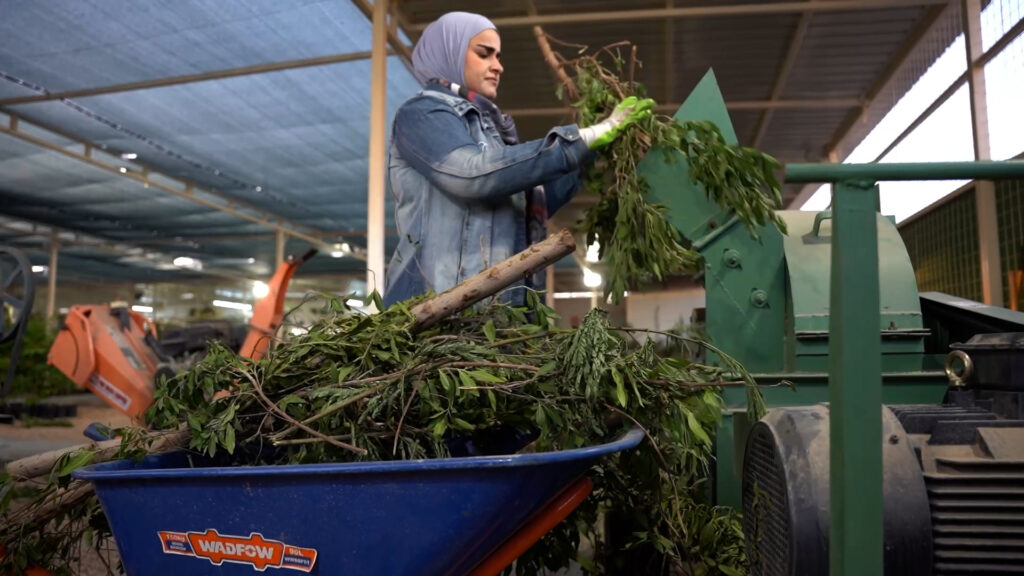 آية الأنبارية بين النباتات وتشرح مراحل إنتاج أفضل سماد