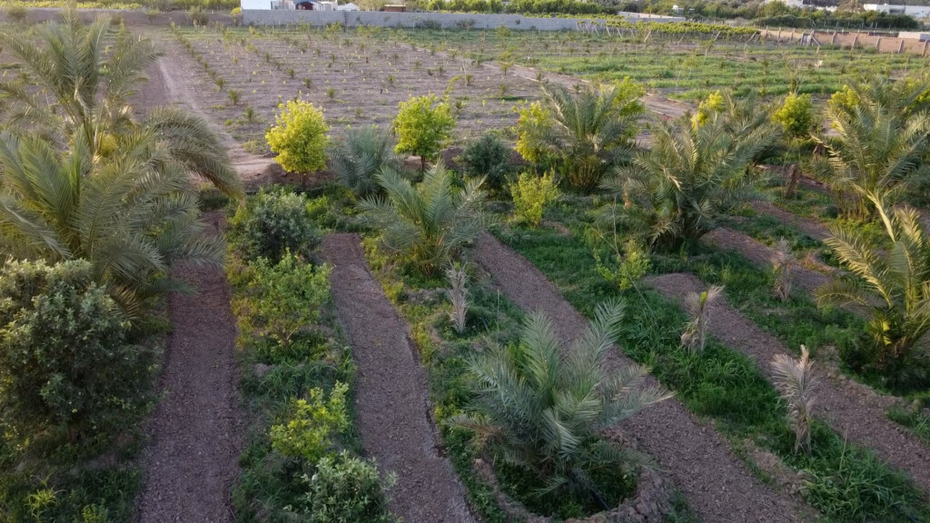 الجنوب "لن يخدع" صلاح الدين بعد اليوم.. برحي عمار نخلة مكفولة أميركياً وفرنسياً