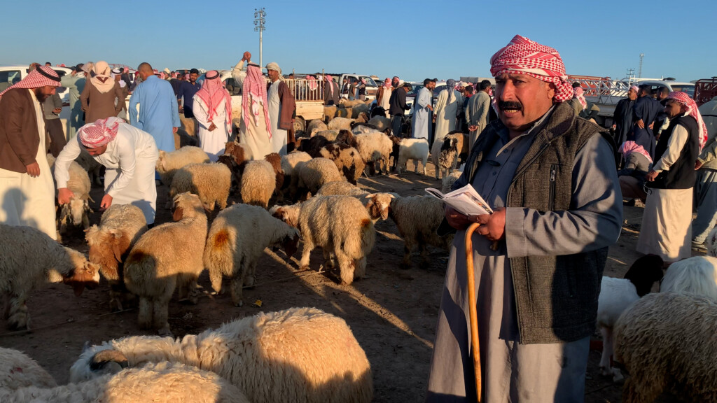 أغنام سوريا لم تكبح ارتفاع الأضاحي في تلعفر.. الخروف بـ 500 ألف قبل العيد