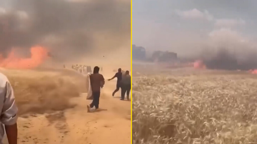 حريق يلتهم 5 دوانم من الحنطة شرق تكريت والدفاع المدني يرجح "تماساً كهربائياً"