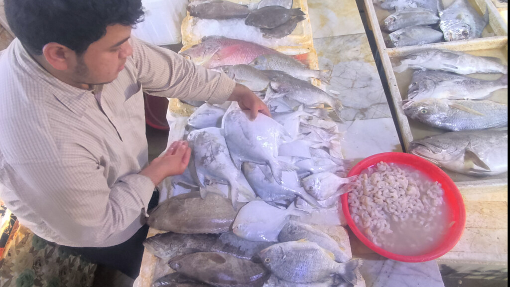 رياح "البارح" تدفع الأسماك إلى الأعماق وتنعش موسم الزبيدي في مزاد الفاو